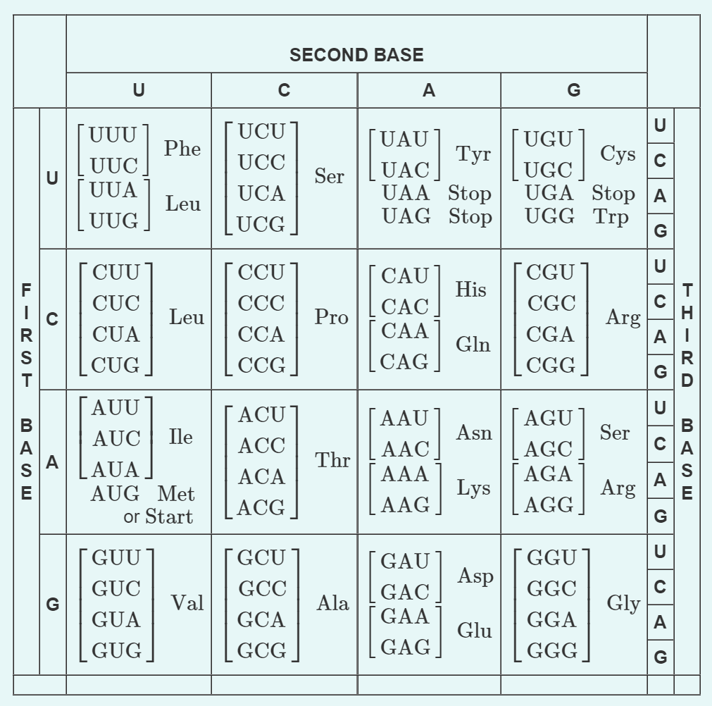 Solved Examine the table of codons in the figure above. A | Chegg.com