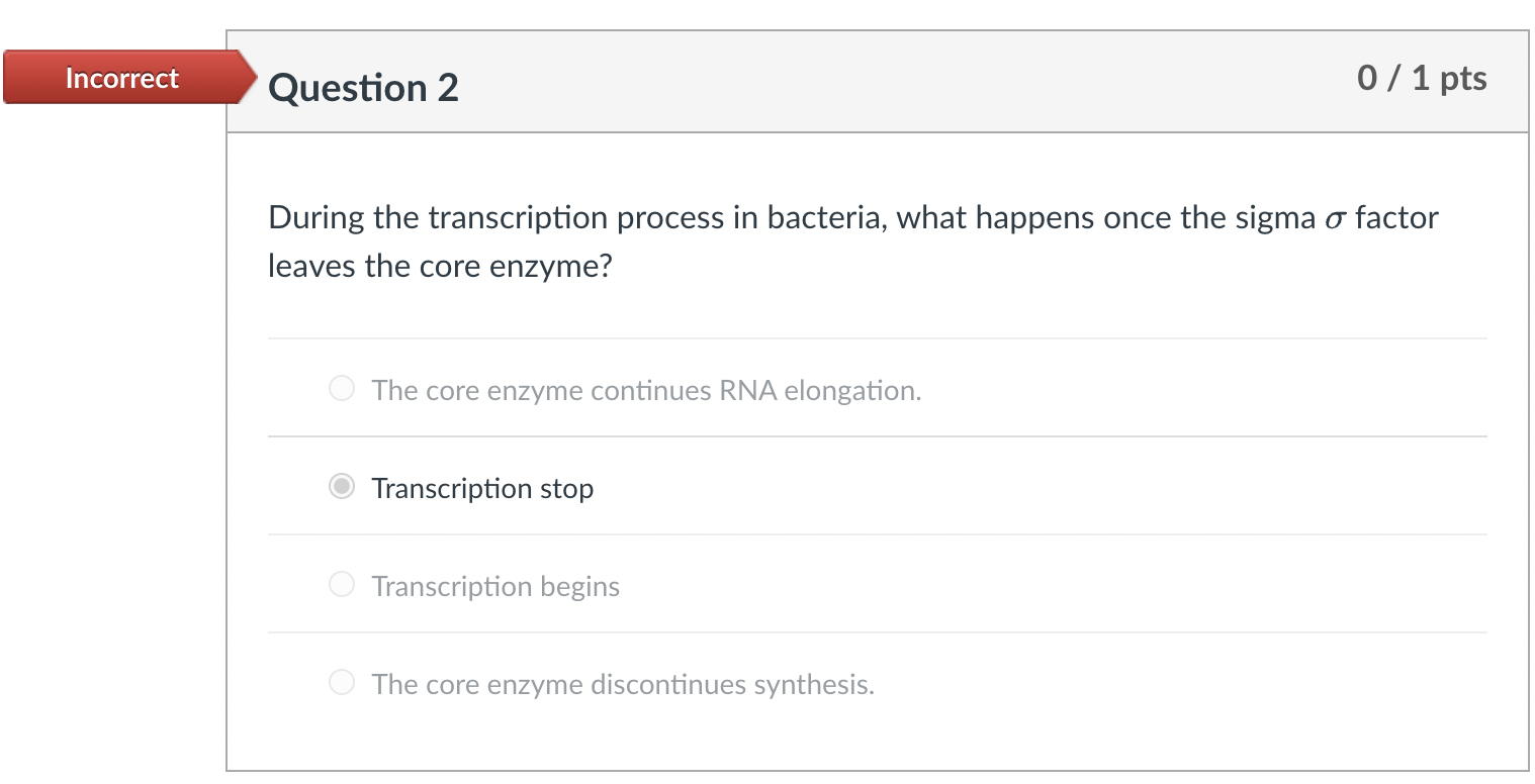 Solved During the transcription process in bacteria, what | Chegg.com