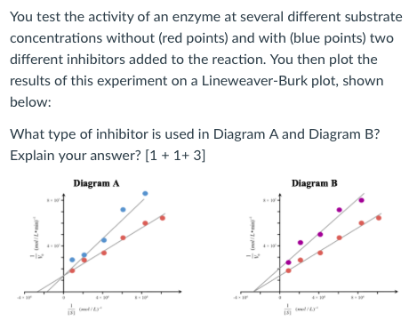 Solved You test the activity of an enzyme at several | Chegg.com