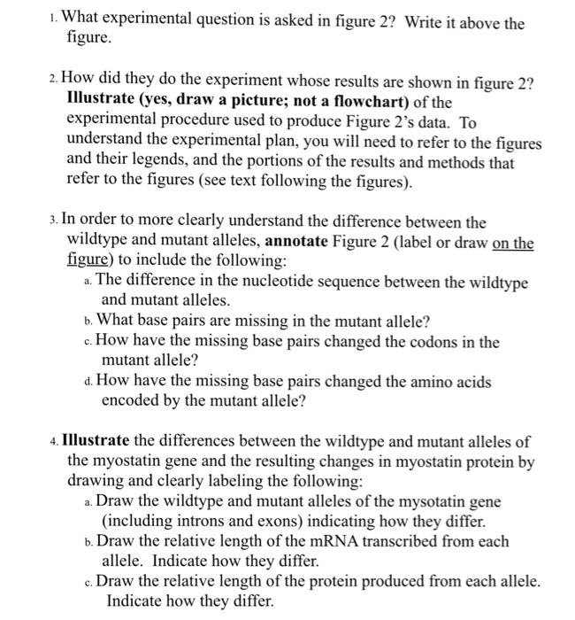 What experimental question is asked in figure 2?
