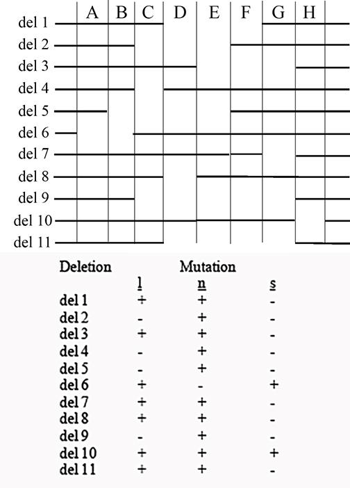 Solved Using The Following Overlapping Deletions (where The | Chegg.com