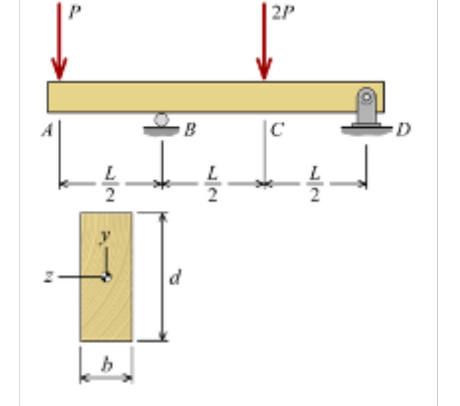 solved-a-beam-is-support-by-a-roller-support-at-point-b-and-chegg