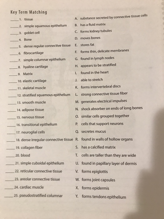 Solved: Key Term Matching -1. Tissue Substance Secreted By... | Chegg.com