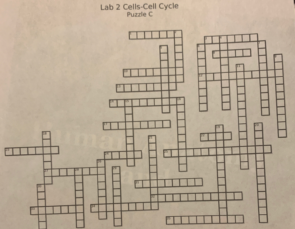 Cells Crossword puzzle. 