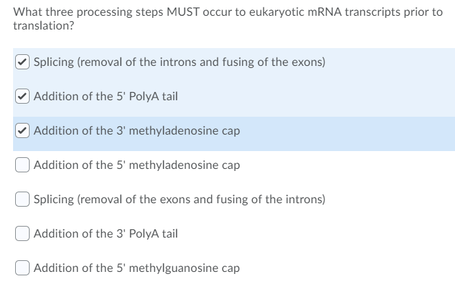 Solved What three processing steps MUST occur to eukaryotic | Chegg.com