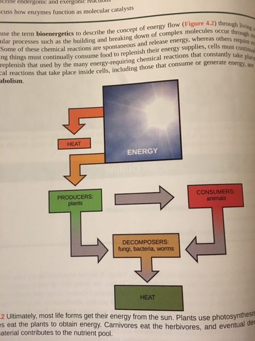 Solved Review figure 4.2 as well as concepts in | Chegg.com