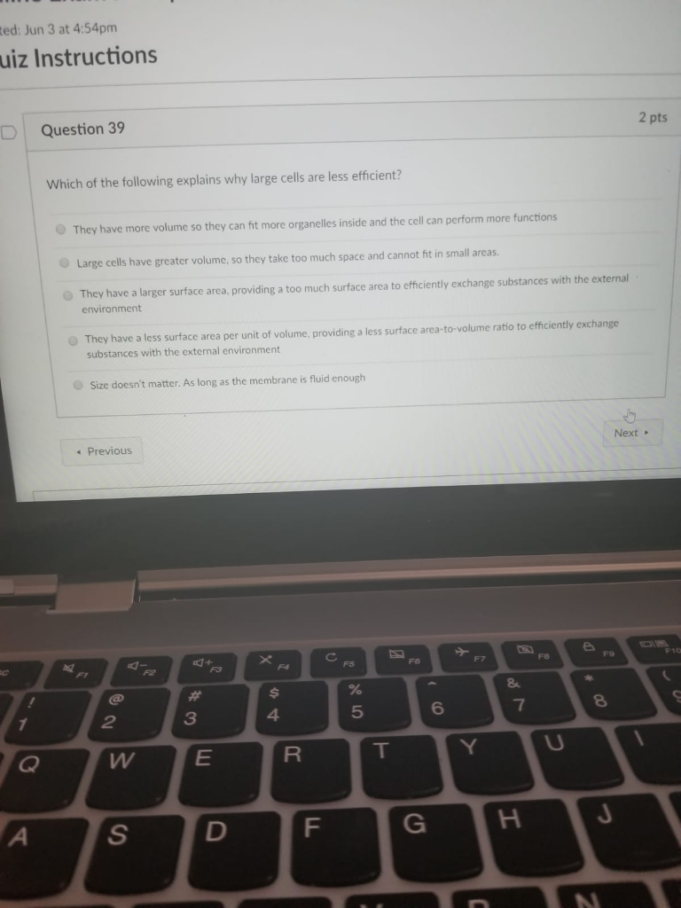Solved ted: Jun 3 at 4:54pm uiz Instructions D | Question 39 | Chegg.com