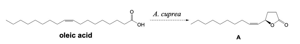 Solved The Sex Attractant A Produced By Anomala Cuprea Is 9896