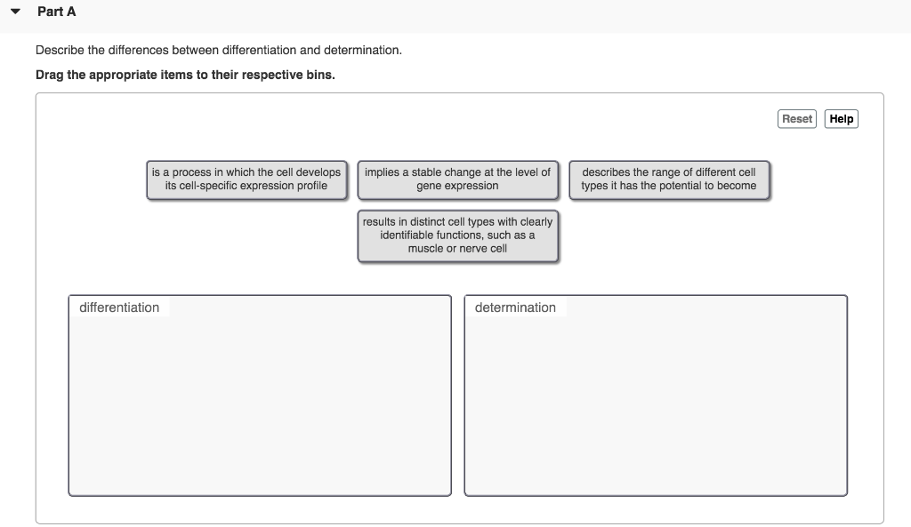 Solved Part A Describe the differences between | Chegg.com