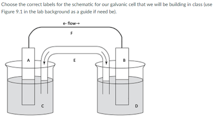 Solved Choose the correct labels for the schematic for our | Chegg.com