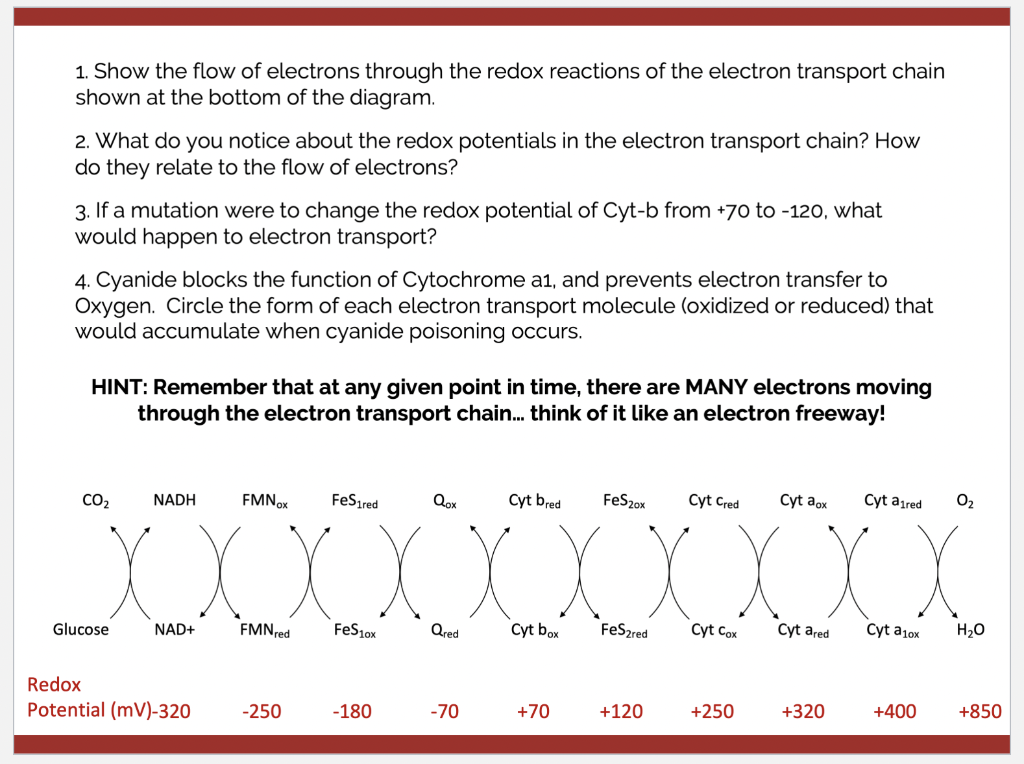Solved 1. Show the flow of electrons through the redox