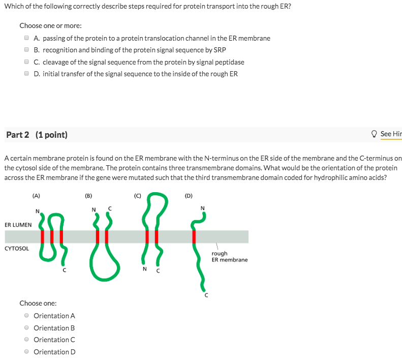 Describe the orientation of the membrane proteins