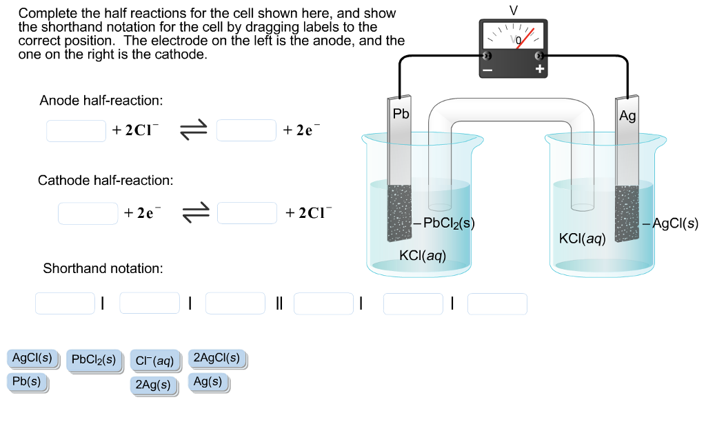 Solved Complete the half reactions for the cell shown here, | Chegg.com