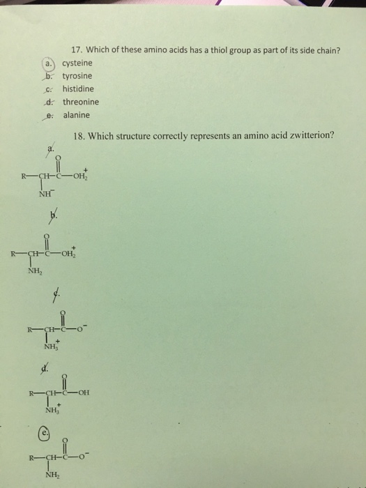 Solved 17. Which of these amino acids has a thiol group as