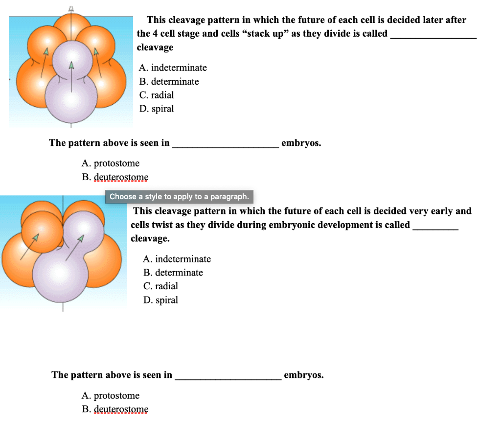 Solved This cleavage pattern in which the future of each | Chegg.com