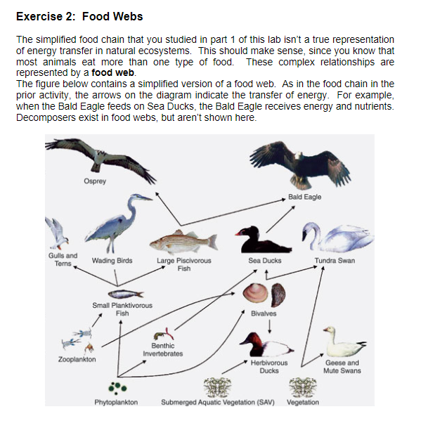 Solved Based on the principles of food chains, answer the 
