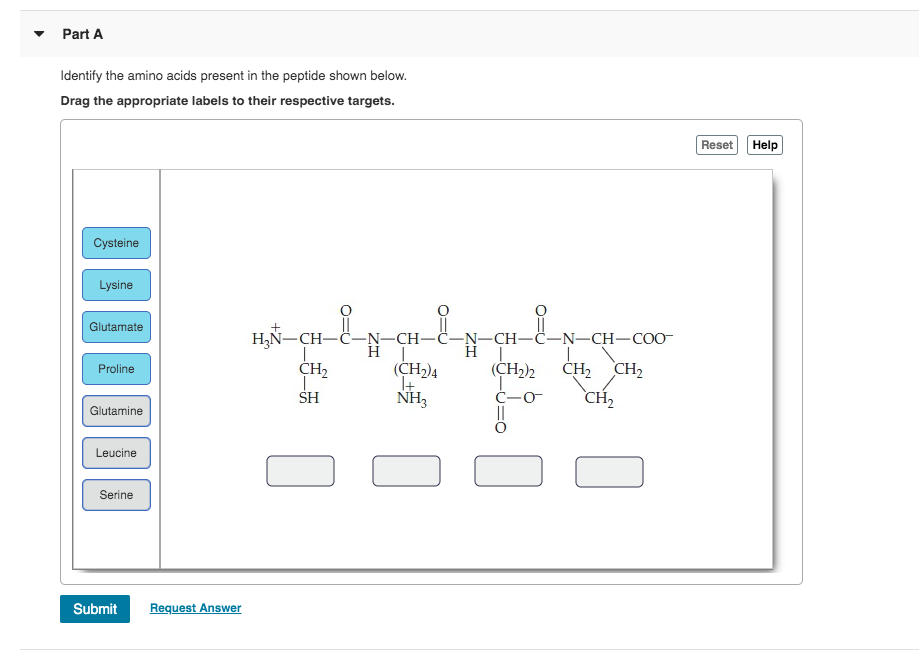 Solved Part A Identify the amino acids present in the | Chegg.com