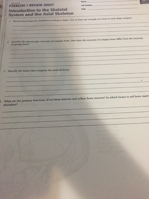 38+ Chapter 5 Skeletal System Answer Key - MahtaKaelah