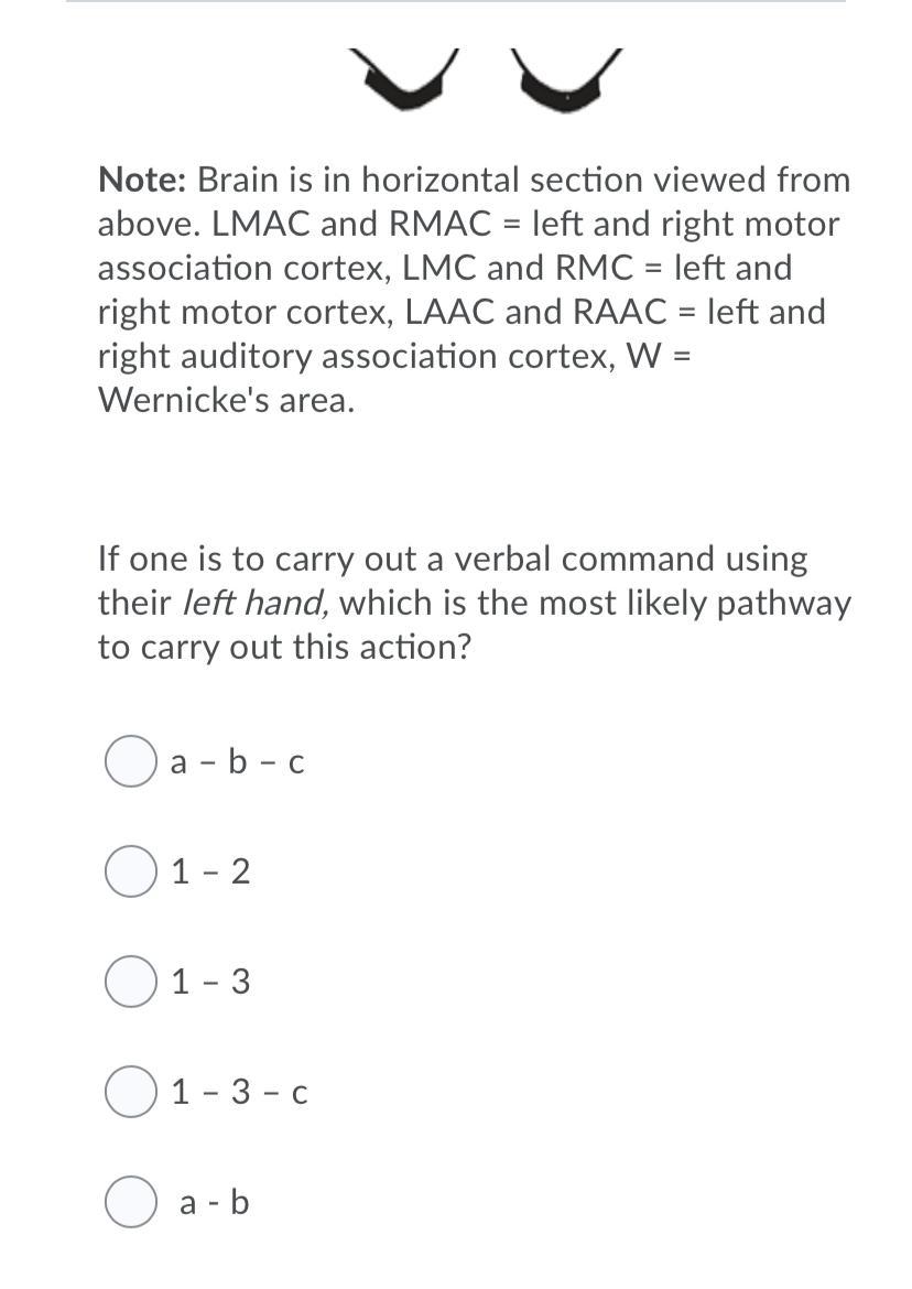 Solved Consider the following image: RMAC LMAC 3 LMC RMC | Chegg.com