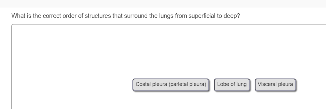 Solved What is the correct order of structures that surround | Chegg.com