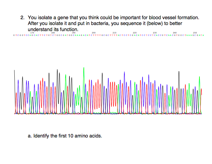 Solved 2. You isolate a gene that you think could be | Chegg.com