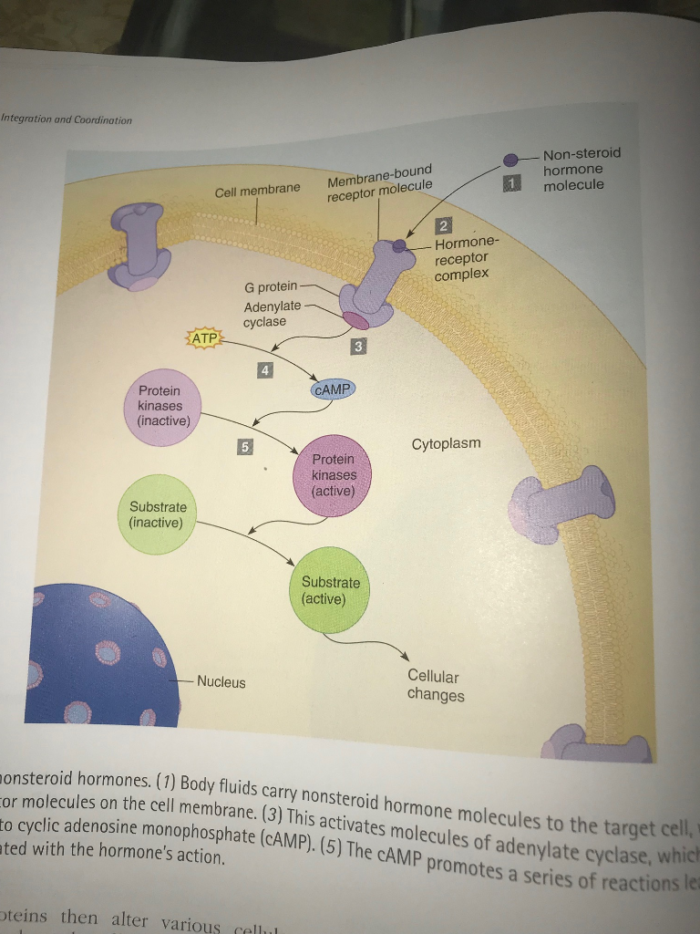 steroide testicule: Keep It Simple