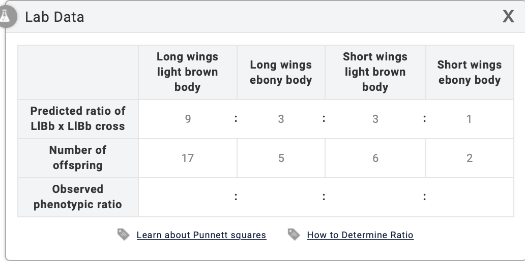 solved-determine-the-closest-phenotypic-ratio-of-fly-chegg