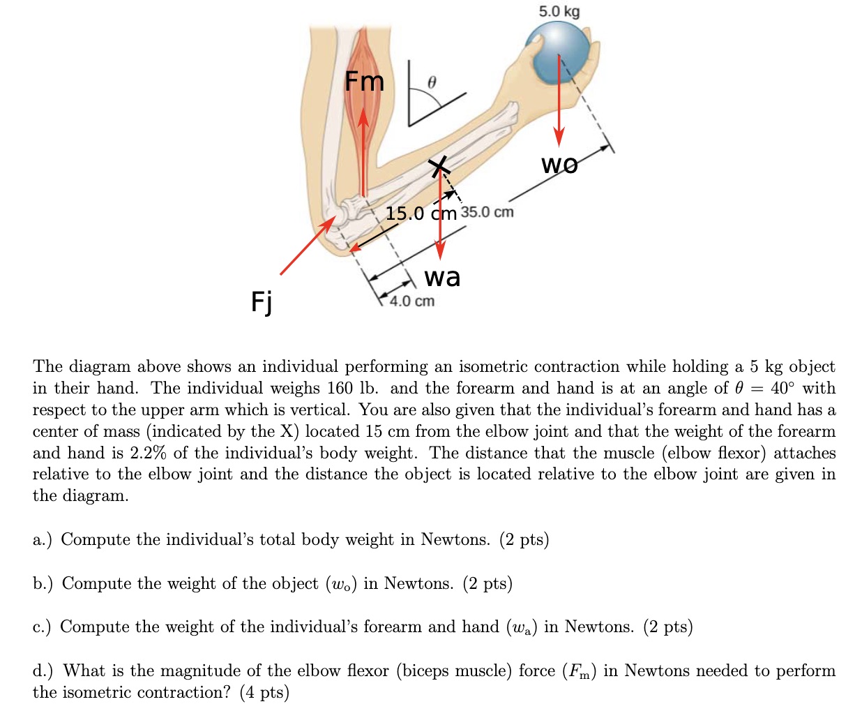 Solved The diagram above shows an individual performing an | Chegg.com