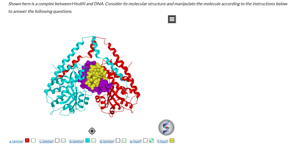 Shown here is a complex between Hindill and DNA. | Chegg.com