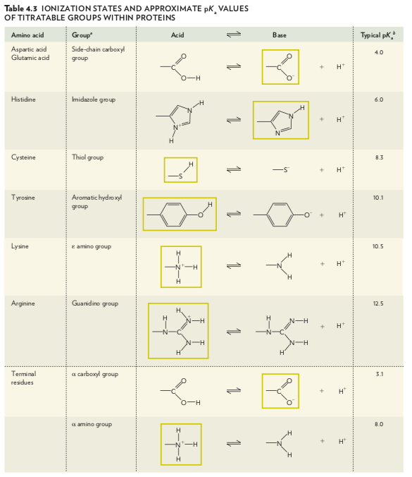 Solved 1. Consider a pentapeptide with the sequence Lys-Tyr- | Chegg.com