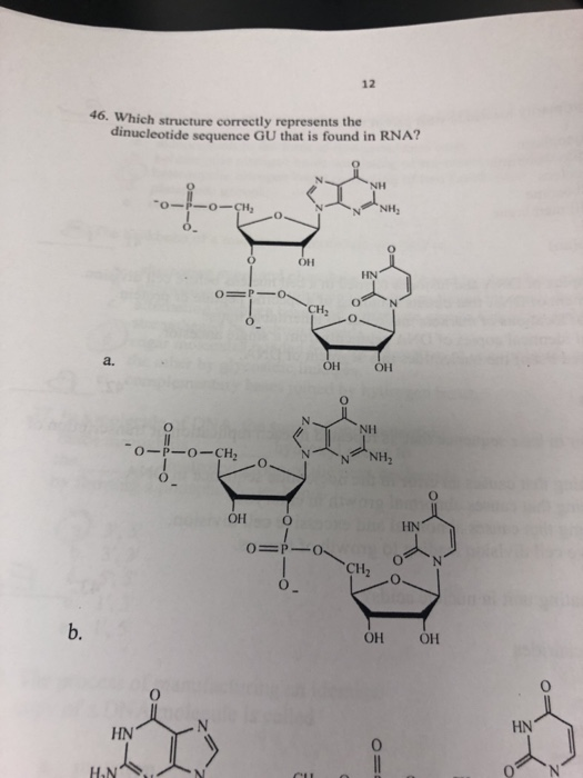 Solved 12 46. Which structure correctly represents the | Chegg.com