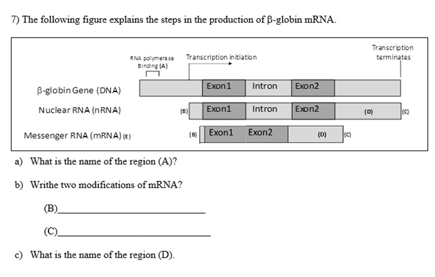 Solved 7) The Following Figure Explains The Steps In The | Chegg.com