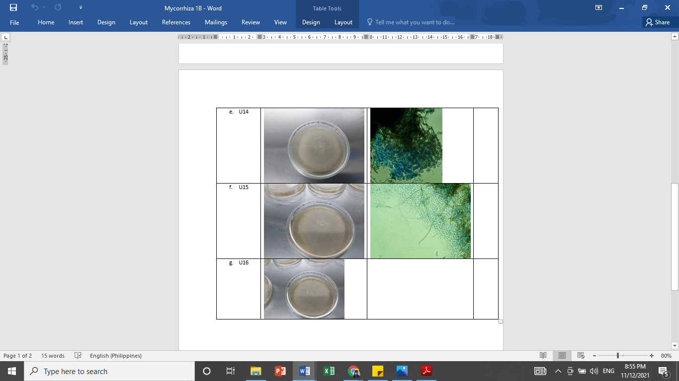Solved 6 X File Home Insert Design Layout Mycorrhiza 1B - | Chegg.com
