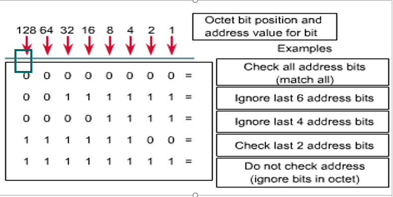 Consider the example below. What do all the bits | Chegg.com