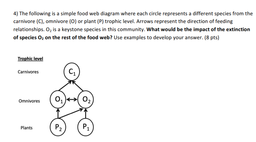 simple food web diagram