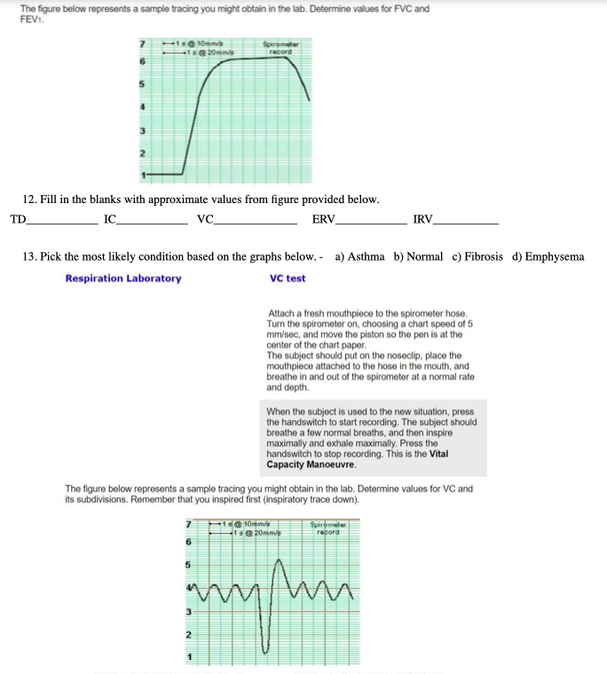 Solved RESPIRATORY - Spirometry Lab Q: Fill in the blanks | Chegg.com