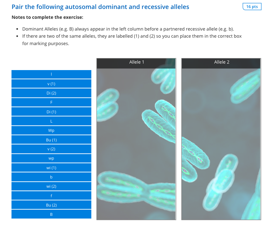 Solved 16 pts Pair the following autosomal dominant and | Chegg.com