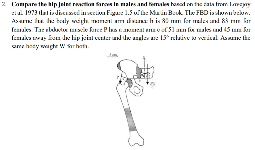 2. Compare the hip joint reaction forces in males and | Chegg.com
