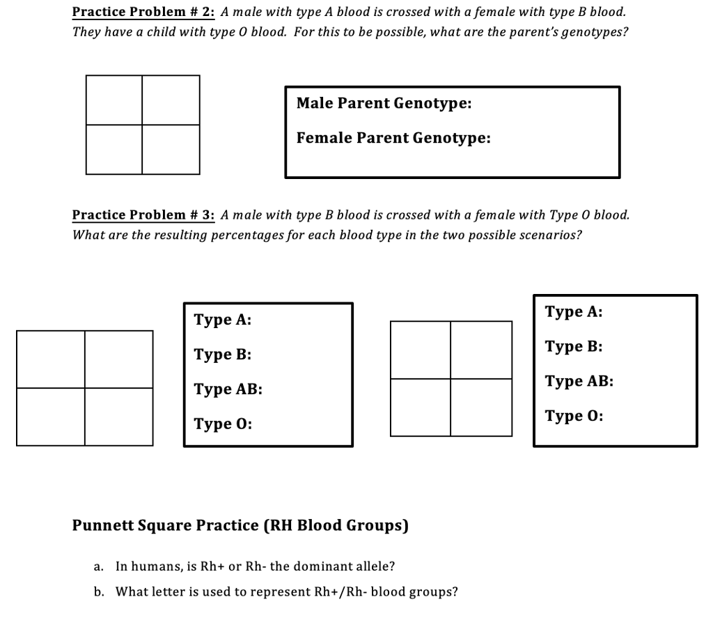 view-blood-type-ab-and-blood-type-o-punnett-square-images-blood-type