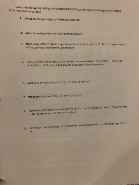 Solved Activity E Predicting The Outcome Of A Dihybrid Chegg