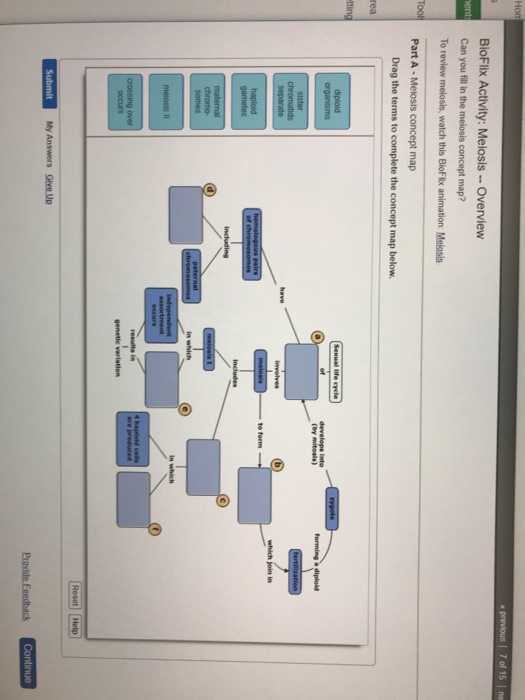 Solved BioFlix Activity: Meiosis-Overview rea (by mitosils) | Chegg.com