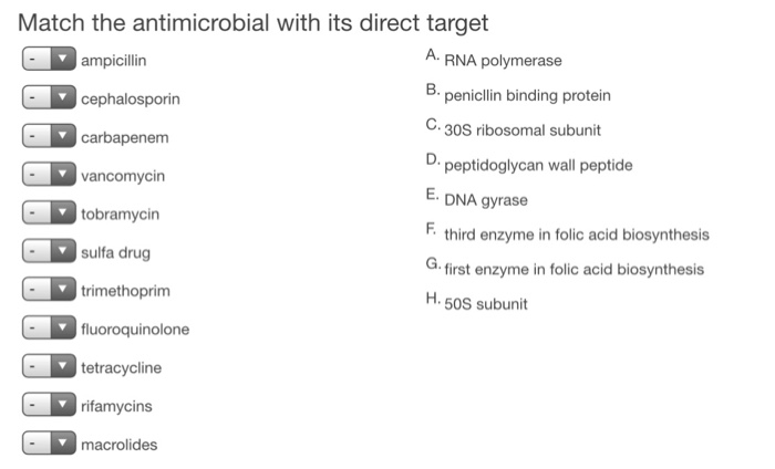 Solved Match the antimicrobial with its direct target | Chegg.com