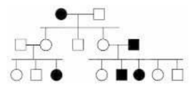 Solved In the following pedigree, the indicated trait | Chegg.com