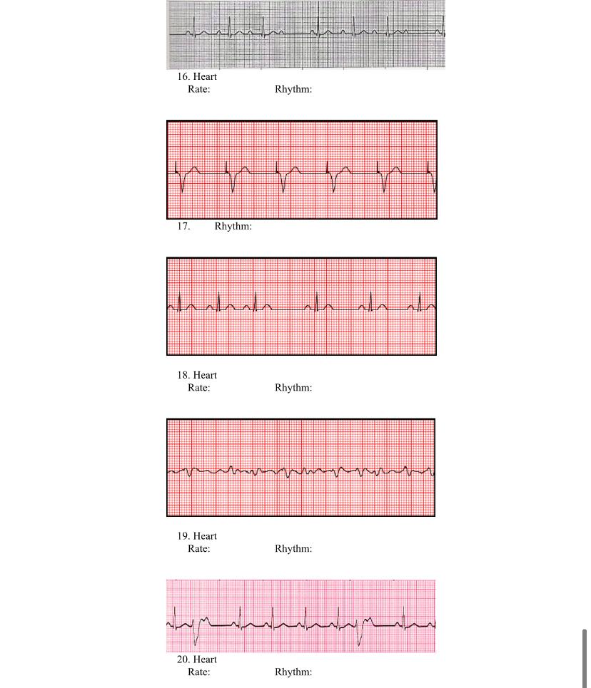 16. Heart Rate: Rhythm: 11/11 17. Rhythm: : محارم ام امام با 18. Heart Rate: Rhythm: : امام الحمامة 19 Hari Rate: Rhythm: : م