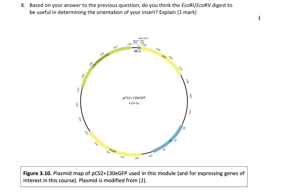Solved 7. Using the plasmid map in Figure 3.10 for guidance, | Chegg.com