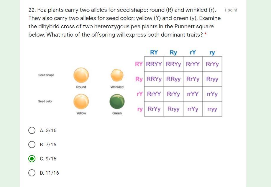 Solved 1 point 22. Pea plants carry two alleles for seed