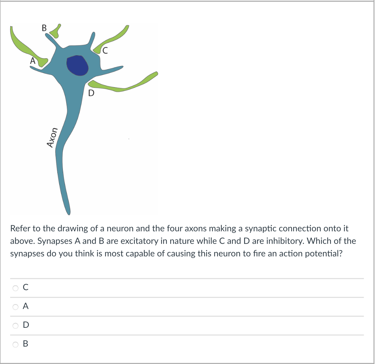 Solved Refer to the drawing of a neuron and the four axons | Chegg.com