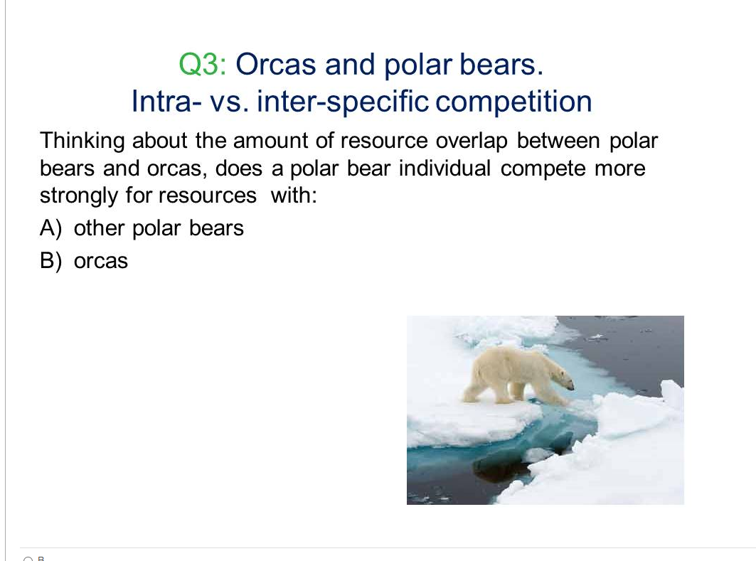 Polar Bears, Educational Resources