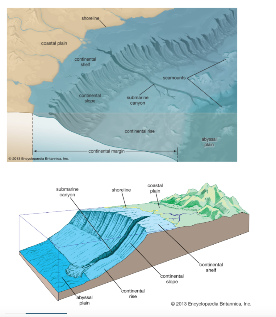 continental rise diagram