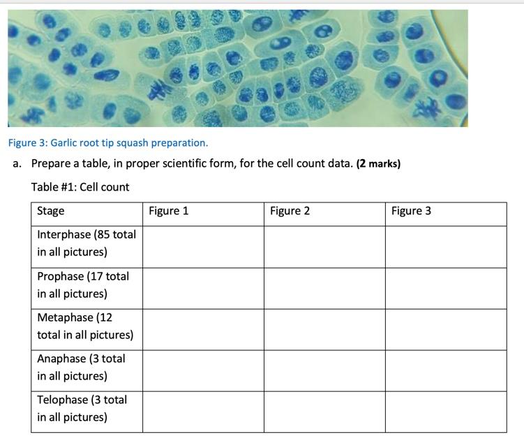 Solved Part 2 - Cellular Reproduction 1. Determine the | Chegg.com